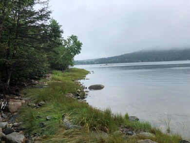 View SW along shorefront