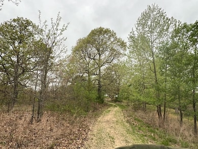 0 State Highway D, Thornfield Township, MO 65762 - photo 3