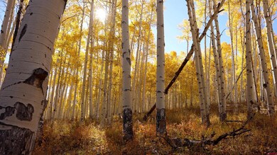 TBD Divide Rd, Gateway, CO 81522 - photo 7