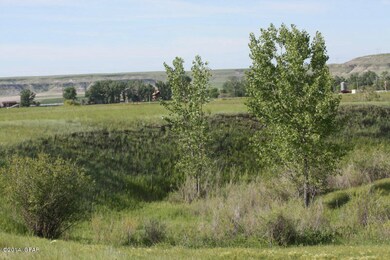 IMG_7395_5458