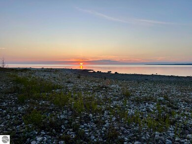 TBD Mrs Reddings Trail, Beaver Island, MI 49782 - photo 5