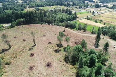 334 State Route 506, Toledo, WA 98591 - photo 5