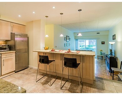 44 Broadlawn Park unit 20A, Chestnut Hill, MA 02467 - photo 3