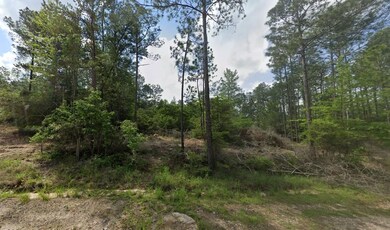 Tallowood Dr, Brookeland, TX 75931 - photo 4