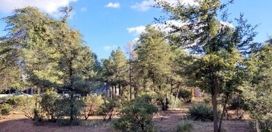 409 E Alpine Dr, Payson, AZ 85541 - photo 2