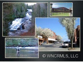 Dupont Forest & Brevard Nearby