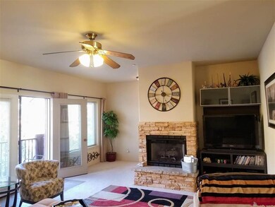 457 Animas View Dr unit 16, Durango, CO 81301 - photo 5