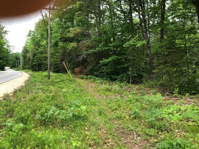 35acres Freemont & Bridgton Roads, Baldwin, ME 04024 - photo 6