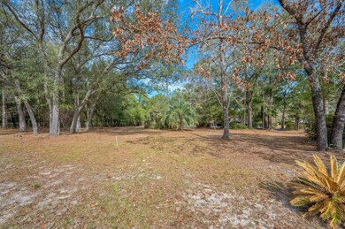 5-web-or-mls-207-shell-dr
