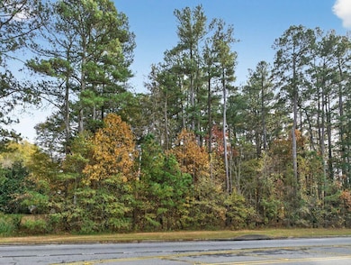 341 Ozora Rd, Loganville, GA 30052 - photo 3