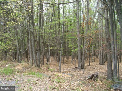 160 Ridgeview Dr, Moorefield, WV 26836 - photo 3