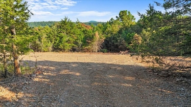 3 Latham School Rd, Shady Point, OK 74956 - photo 2