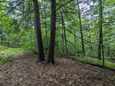 0 Dover Rd unit 5054979, Newfane, VT 05345 - photo 5