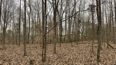 131 Hurricane Creek Dr, Tennessee Ridge, TN 37178 - photo 6