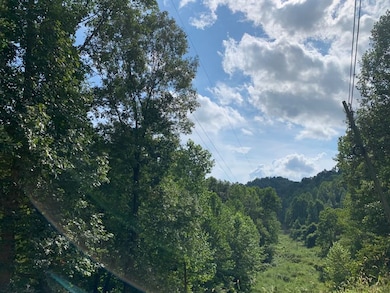 0 Cooksey Fork, Blaine, KY 41124 - photo 5