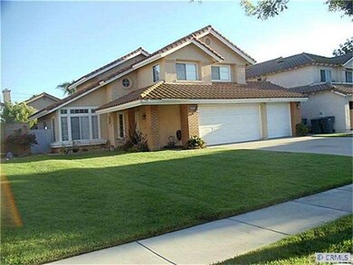 Front View of Stone Pine