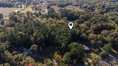 TBD Barnes Rd, Andrews, SC 29510 - photo 5