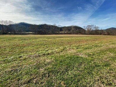 0 River Rapids Way unit 1102136, Del Rio, TN 37727 - photo 5