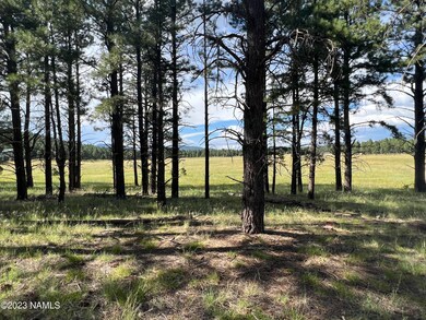 Keith 14646 East property line north