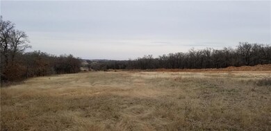 391 County Road 3678, Paradise, TX 76073 - photo 6