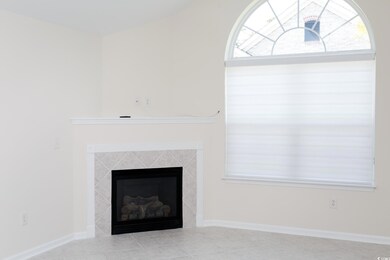 Detailed view of a premium fireplace and baseboards