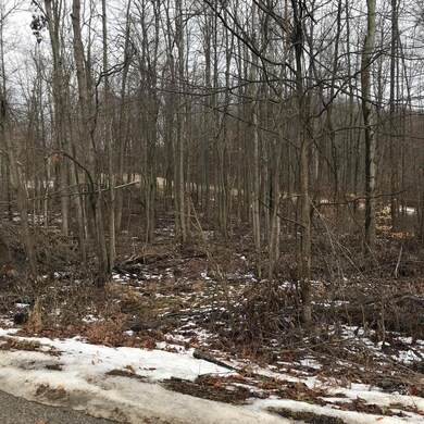 0 Kingsway Cir unit 175 & 176 218002276, Howard Township, OH 43028 - photo 5