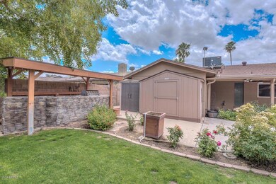 Backyard-Shed