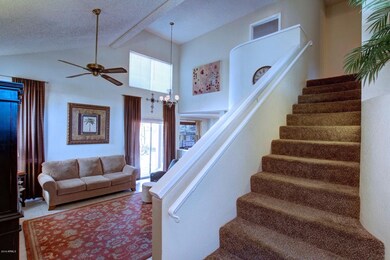 Elmwood (4)