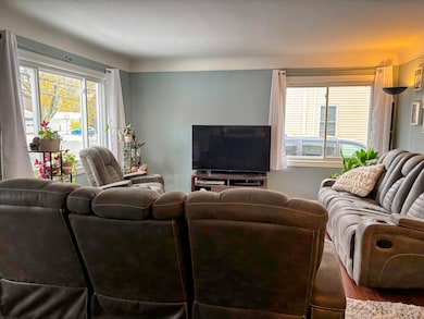 209 Burt St, Tecumseh, MI 49286 - photo 4