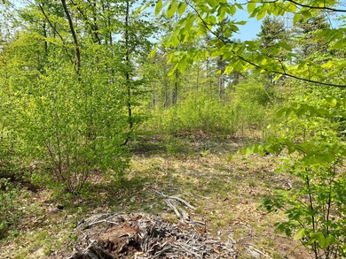 00 Dingley Spring Rd, Gorham, ME 04038 - photo 2