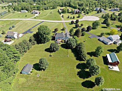Backyard. 5.5 Acres!  Both open and wooded!!!