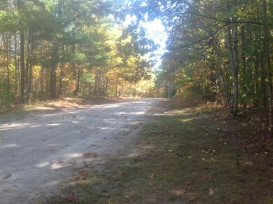 64 Pine River Path, Effingham, NH 03882 - photo 3