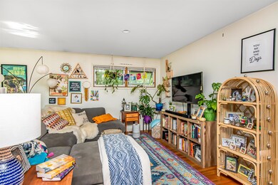 51 Orchard Terrace, Winooski, VT 05404 - photo 7