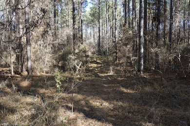 6 + - Ac Sky Line Dr, Chester, SC 29706 - photo 3