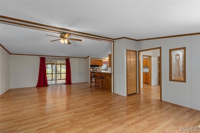 1207 Washington Ave, Staunton, IL 62088 - photo 6