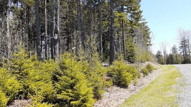Lot 21 Image 5