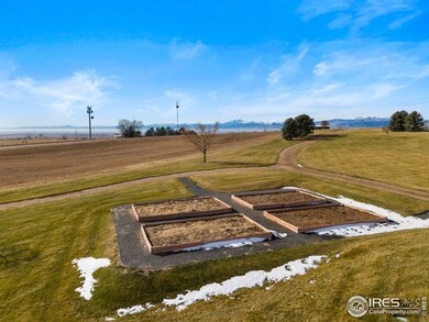 2551 Branding Iron Dr, Severance, CO 80524 - photo 6