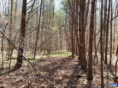 2647 Penny Ln, Charlottesville, VA 22903 - photo 2