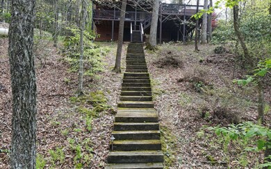 Additional View