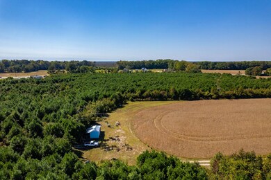 0 Caratoke Hwy unit 127231, Poplar Branch, NC 27965 - photo 4