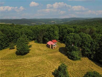 672 Backus Rd, Mount Vision, NY 13810 - photo 6