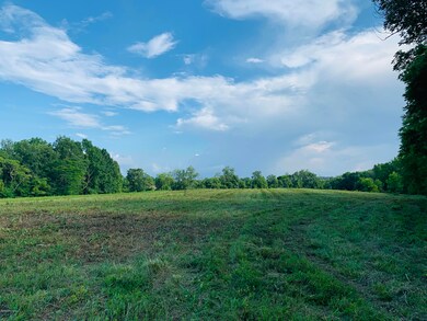 Tract 124B L'Esprit Pkwy, La Grange, KY 40031 - photo 3