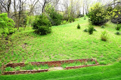 Peaceful backyard
