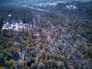 10_DJI_0575__sRGB