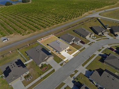 2001 Amber Sweet Cir, Dundee, FL 33838 - photo 4