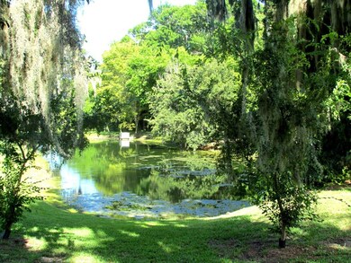 Pond View 3