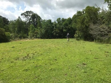 23000 Enoch Nettles Rd, Picayune, MS 39466 - photo 6