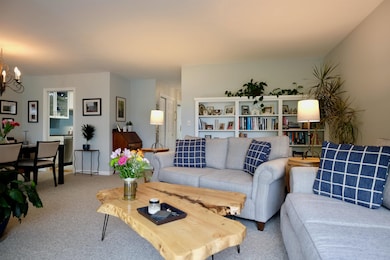 Looking back to dining area