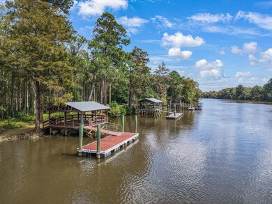 243 Belladonna Ct, Georgetown, SC 29440 - photo 3