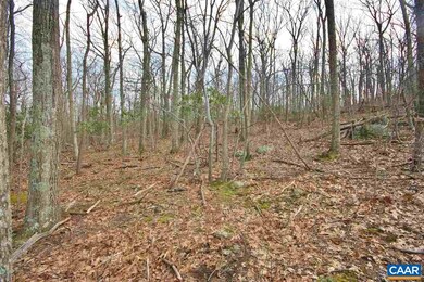 775 Pedlars Edge Dr, Roseland, VA 22967 - photo 5